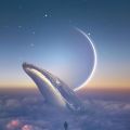 datang的个人空间