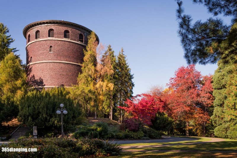 Volunteer Park1