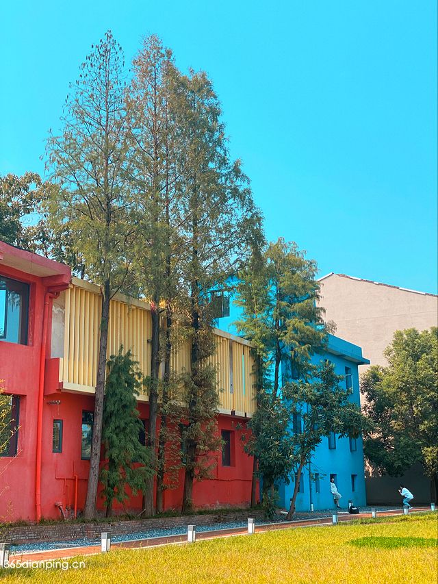 后湖国际艺术区5