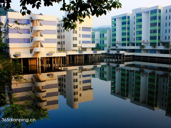 湖南大学校园照片4