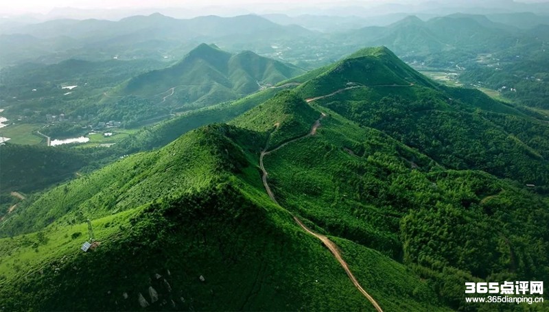 九郎山森林公园