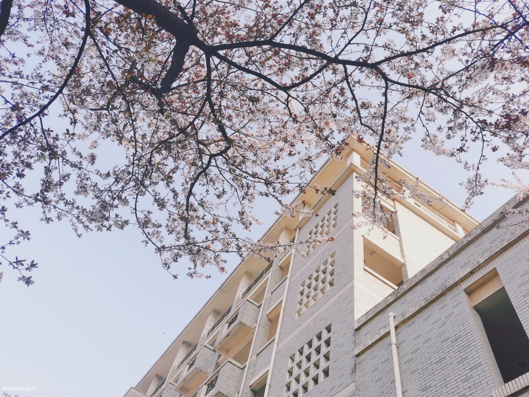 湖南第一师范学院19