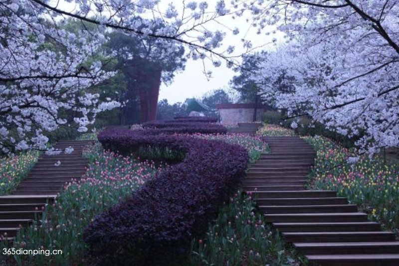 湖南省植物园3