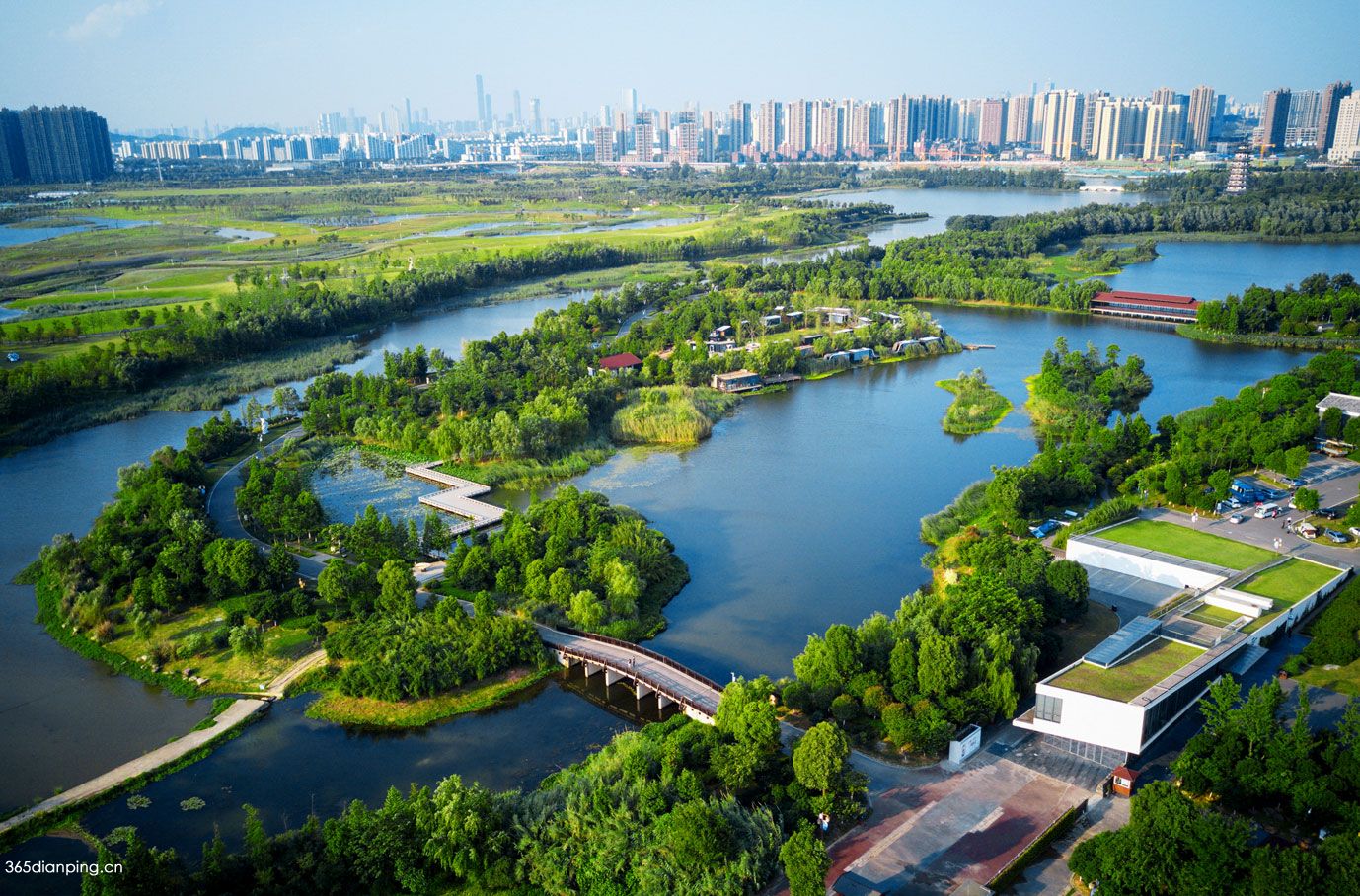 洋湖湿地公园