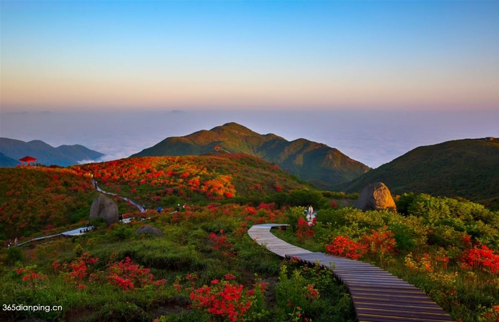 大围山国家森林公园2