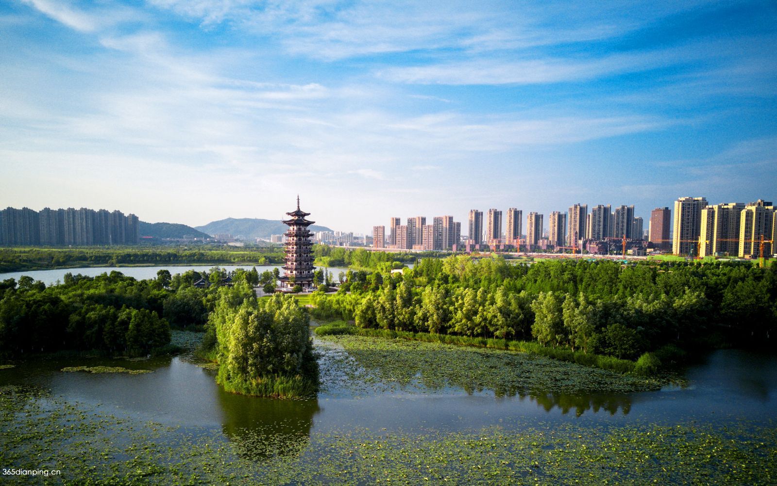 洋湖湿地公园3
