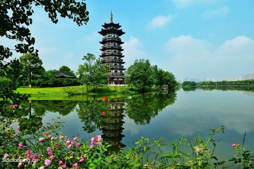 洋湖湿地公园2