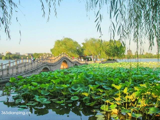 大明湖景区
