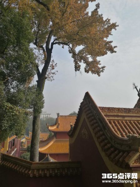 岳麓书院10