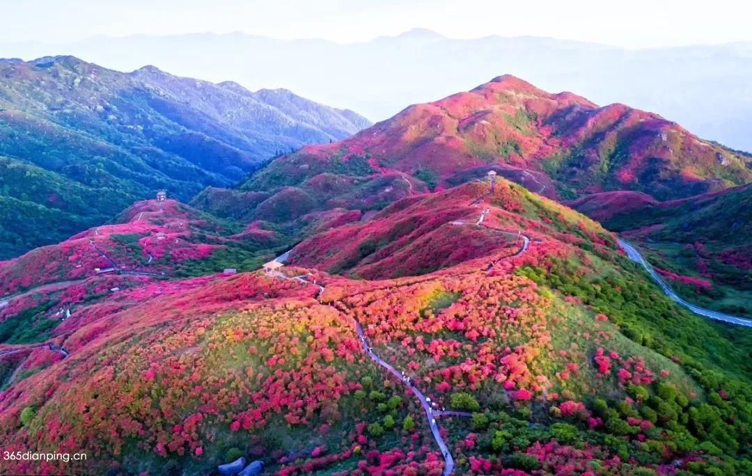 大围山国家森林公园3
