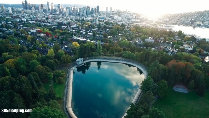 Volunteer Park