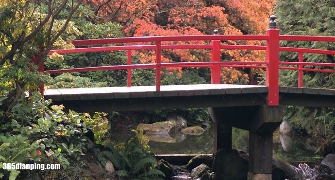 西雅图日本花园