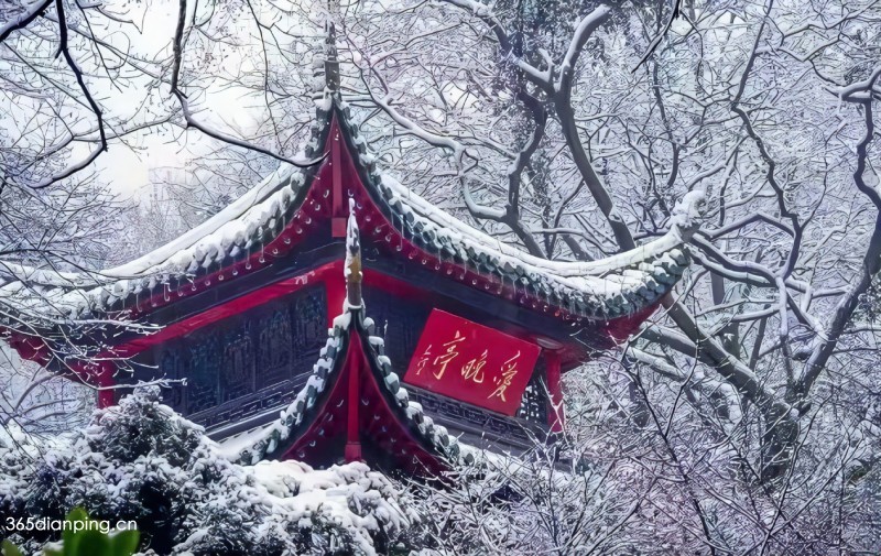 爱晚亭11