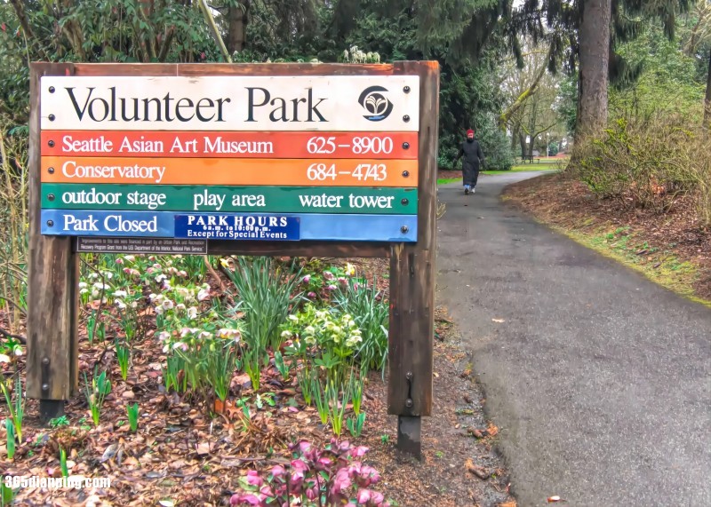 Volunteer Park4
