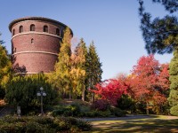 Volunteer Park1