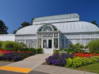 Volunteer Park2