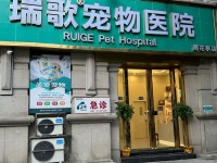 瑞歌宠物医院