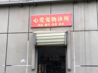 心爱宠物诊所