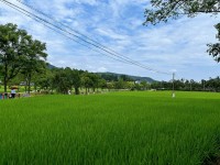毛泽东同志故居4