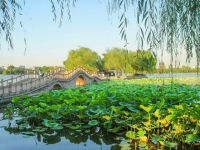 大明湖景区