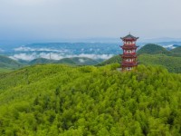 蔡伦竹海