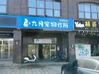 九月宠物诊所