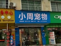 小周宠物