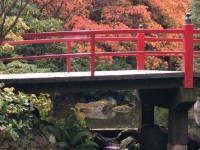 西雅图日本花园