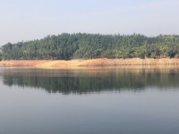 233_89716
