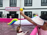 宠嘟嘟萌宠乐园·寄养训练游泳
