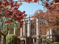 华盛顿大学