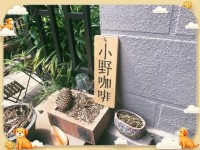 小野咖啡(麓山南路店)