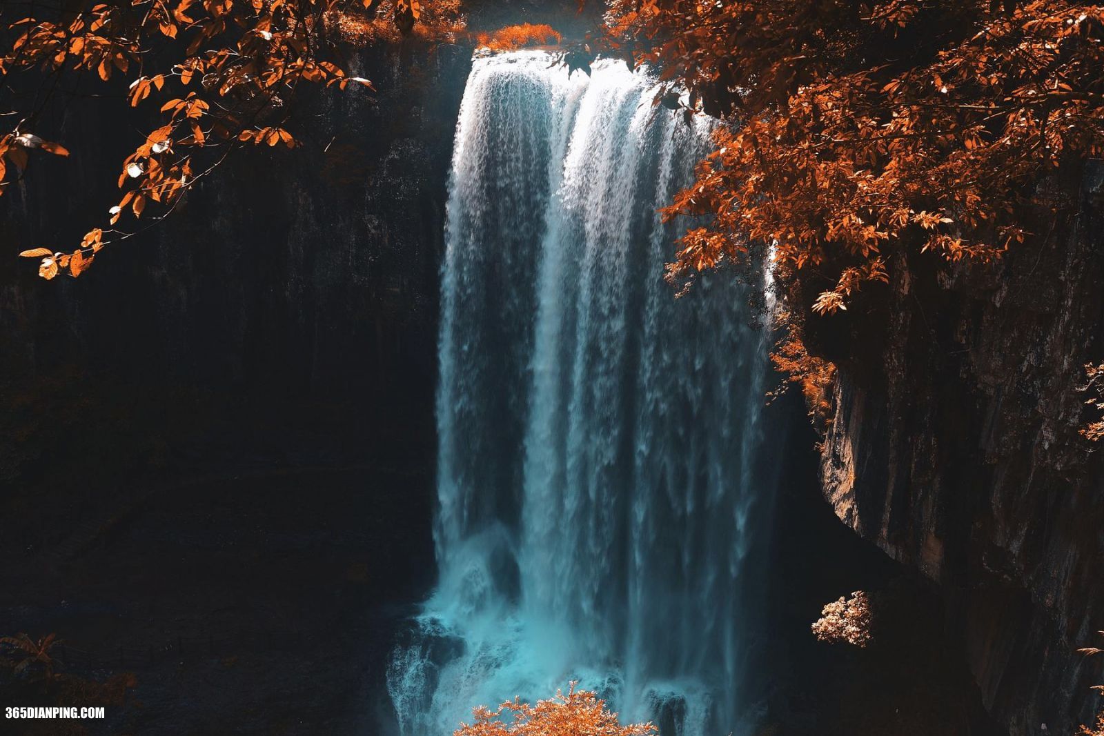 864_71924