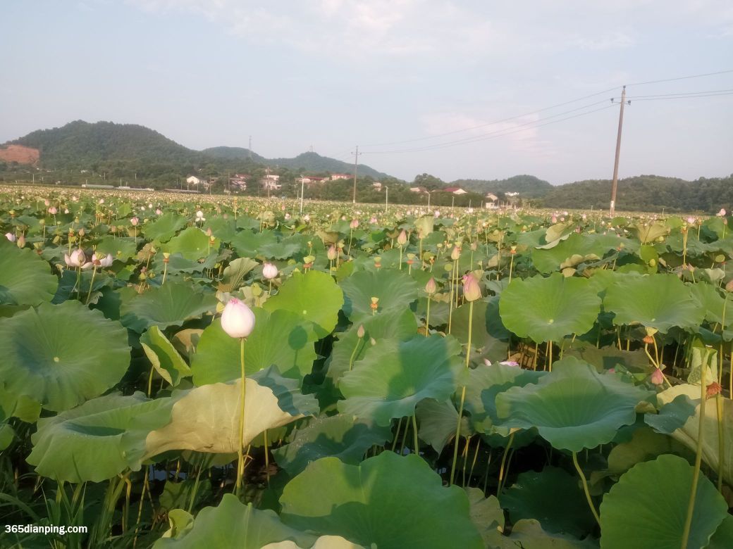 仙庾岭风景区