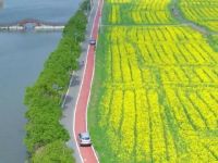 铜官窑现代农业公园