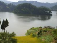 青羊湖