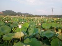 仙庾岭风景区
