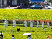 茶亭花海