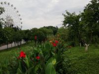 玉潭公园