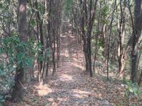 太阳山森林公园默认相册