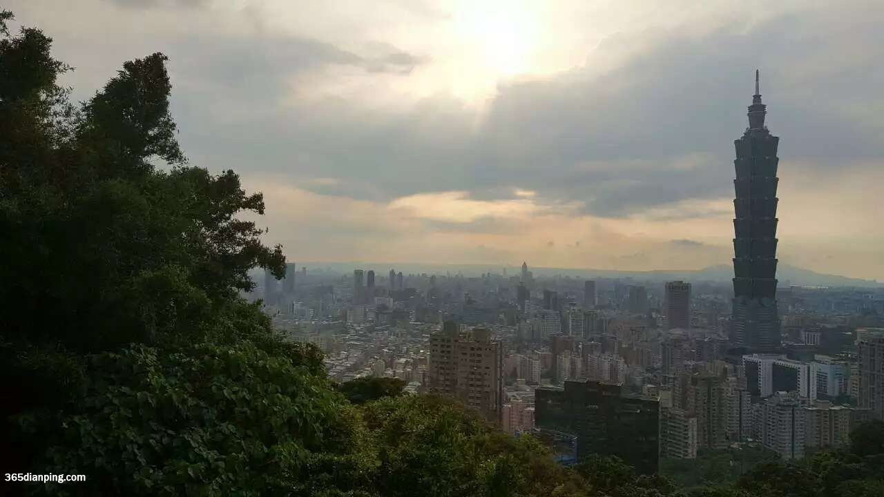 1165_11815